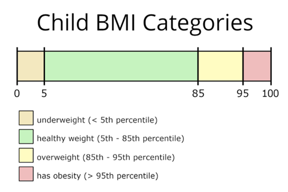 Child BMI Categories