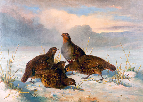 A Painting Of Four Birds On A Snowy Field