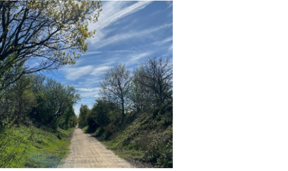 Image Showing Path After A16 Active Travel Scheme